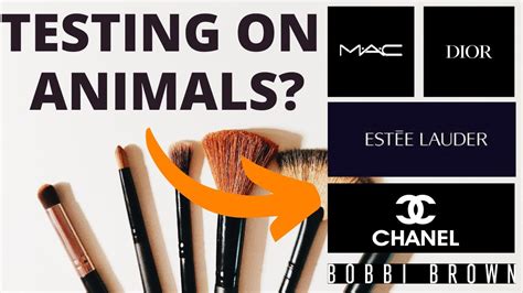 does dior beauty test on animals|is dior animal testing illegal.